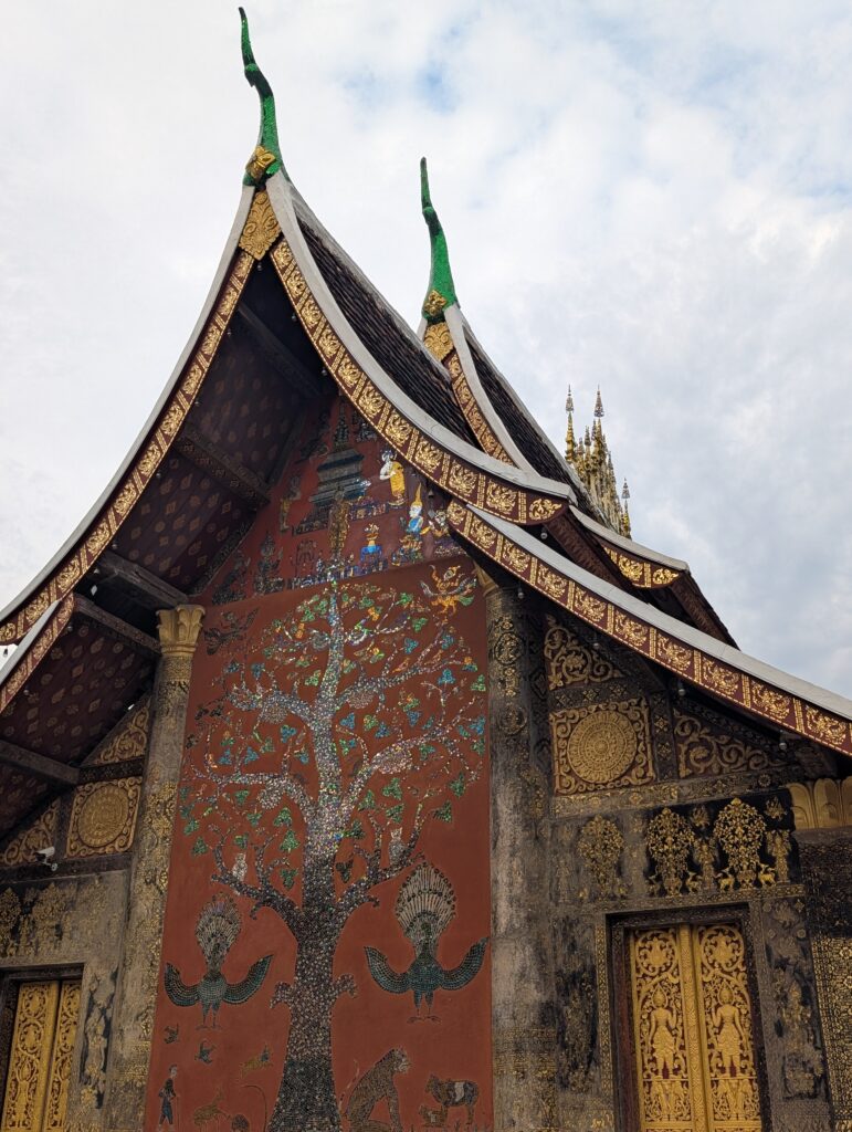 arbre temple Luang Prabang Laos