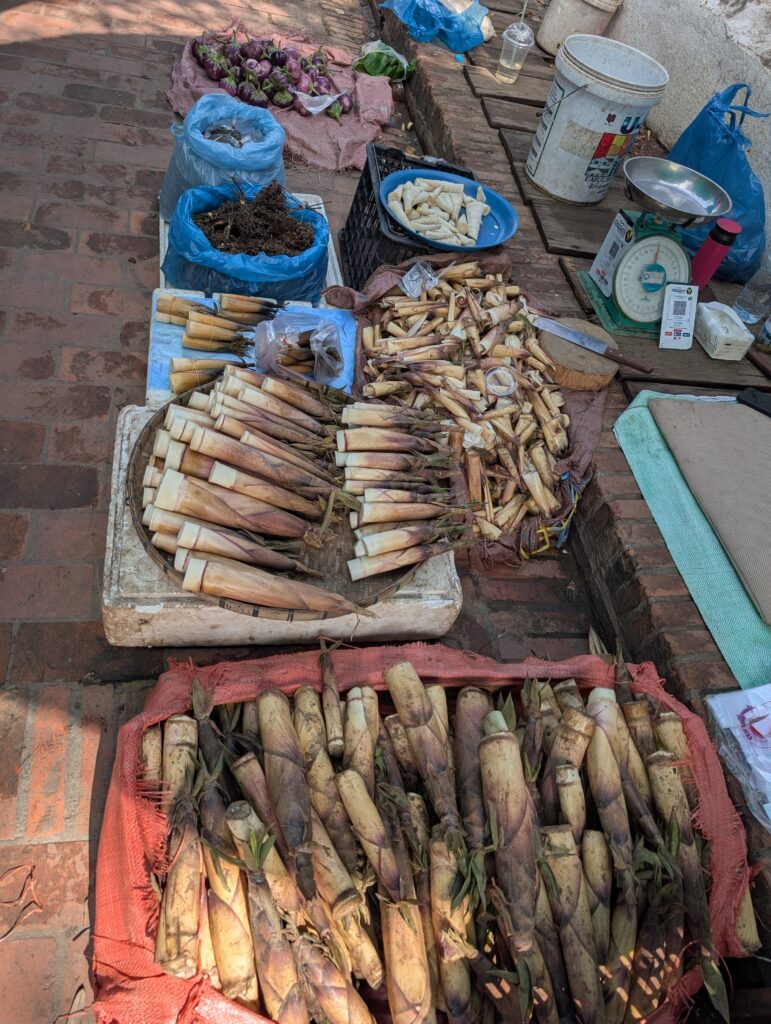 marché du matin Luang Prabang Laos