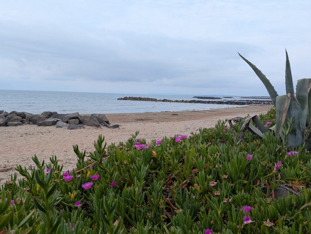 camping bord de mer méditerranée