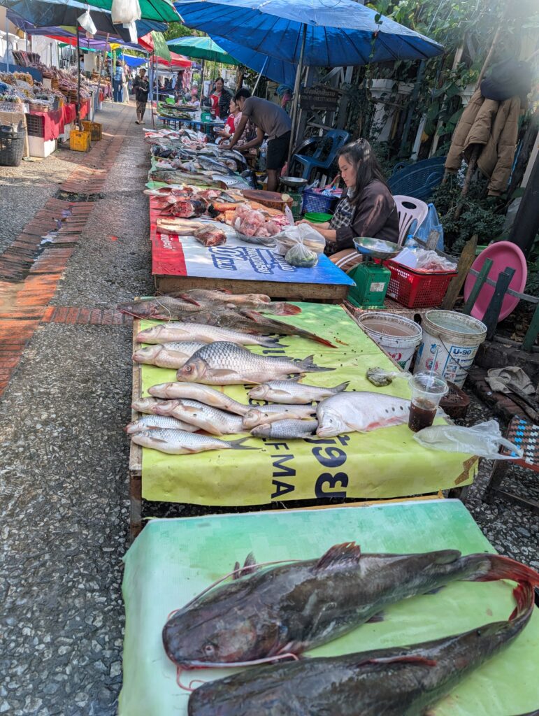 marché du matin Luang Prabang Laos