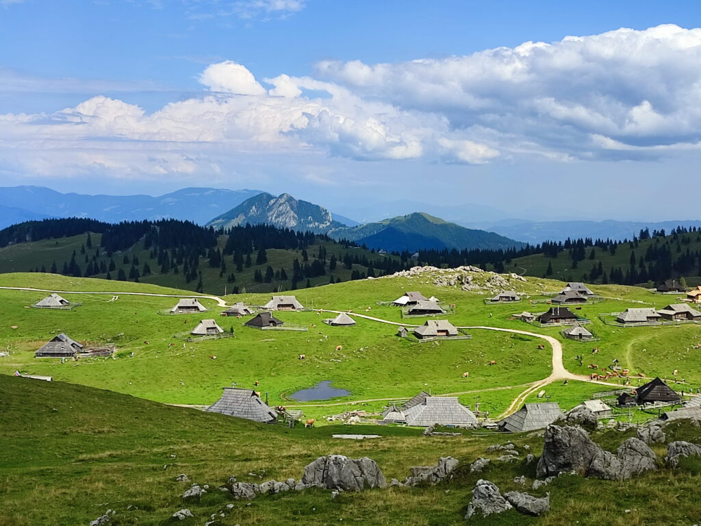 Plateau de Velika Planina Slovénie
