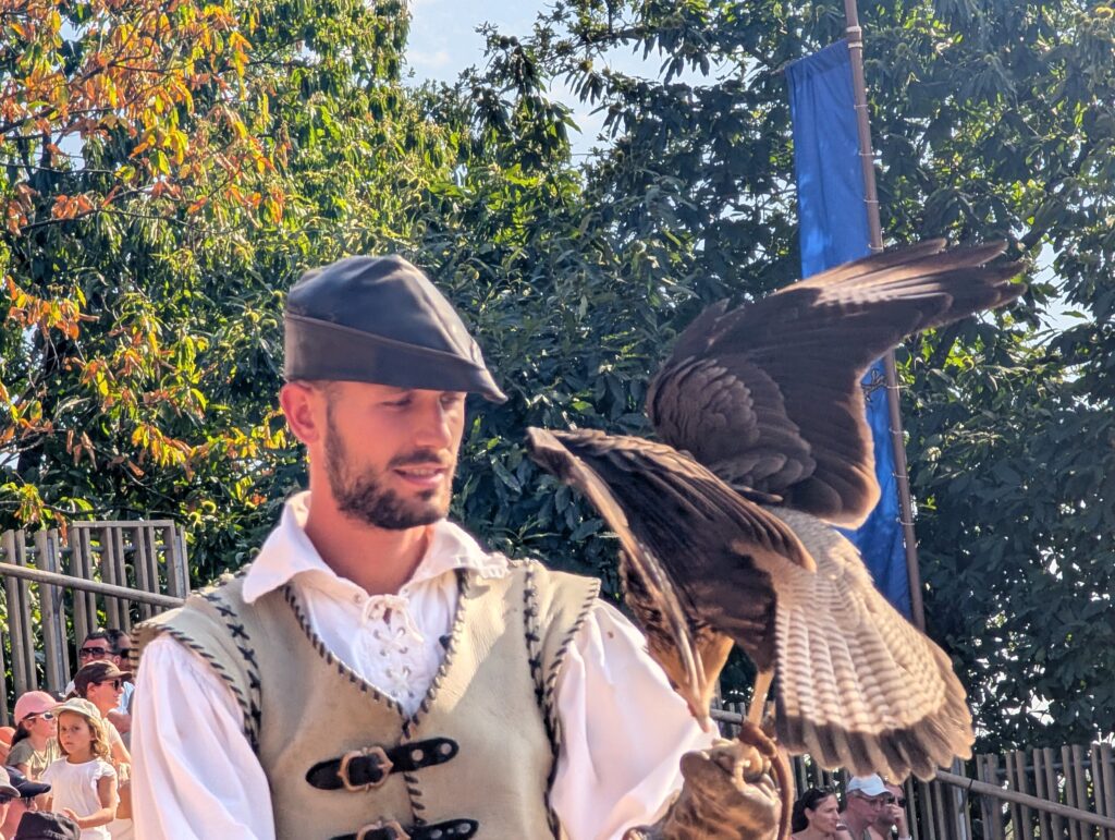 faucon spectacle Le bal des oiseaux fantômes au Puy du fou
